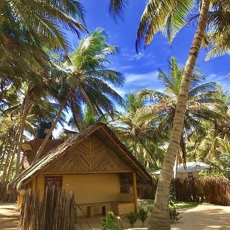 Seahorse Beach Resort Kalpitiya Exterior foto